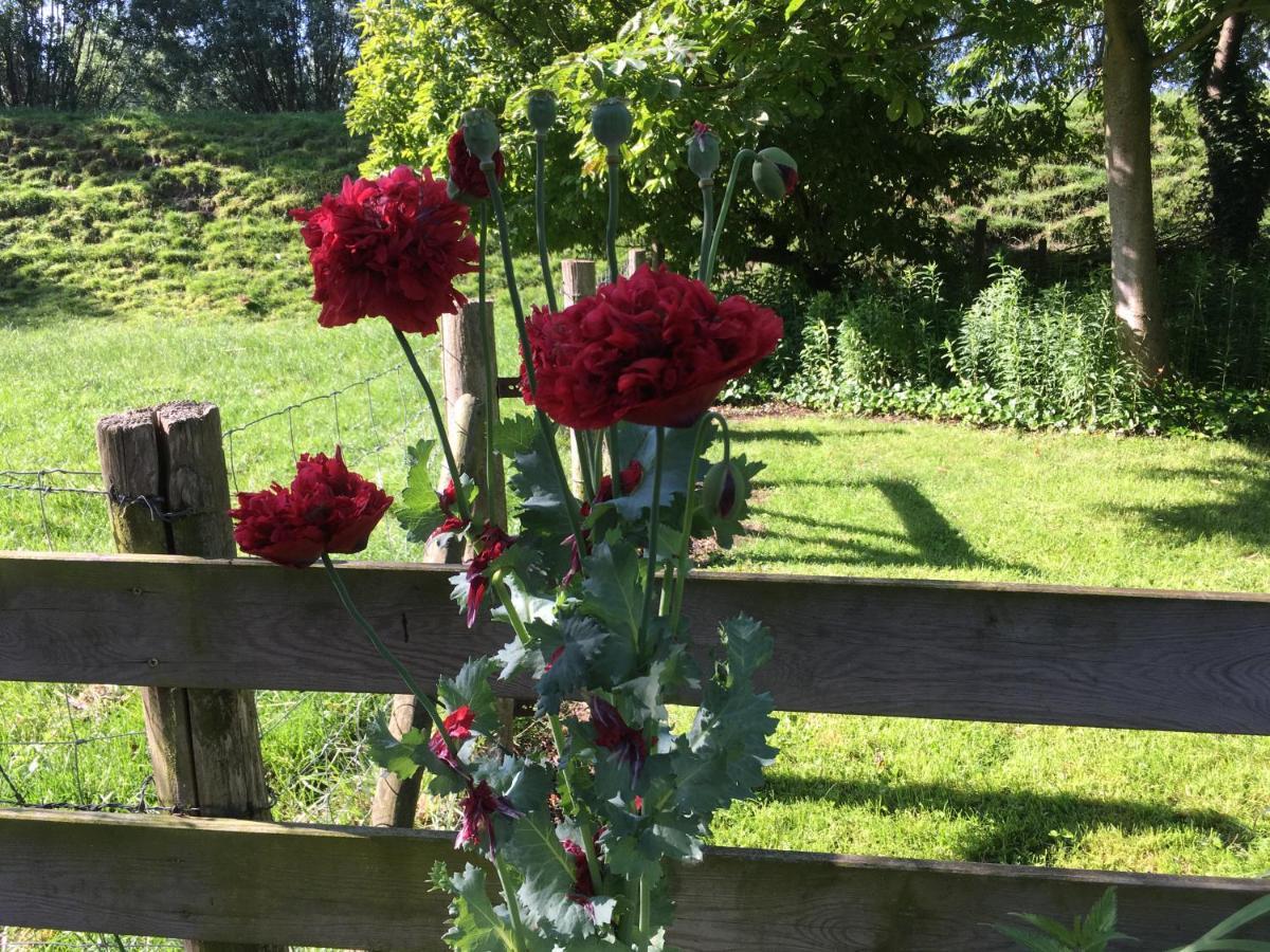 B&B De Tol Hulst Kültér fotó