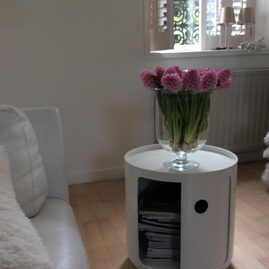 B&B De Tol Hulst Kültér fotó