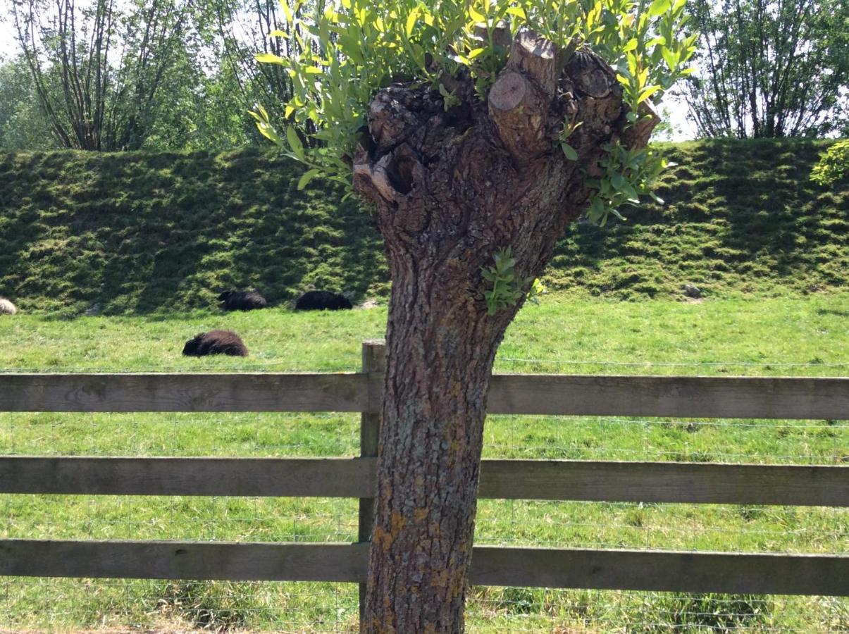 B&B De Tol Hulst Kültér fotó