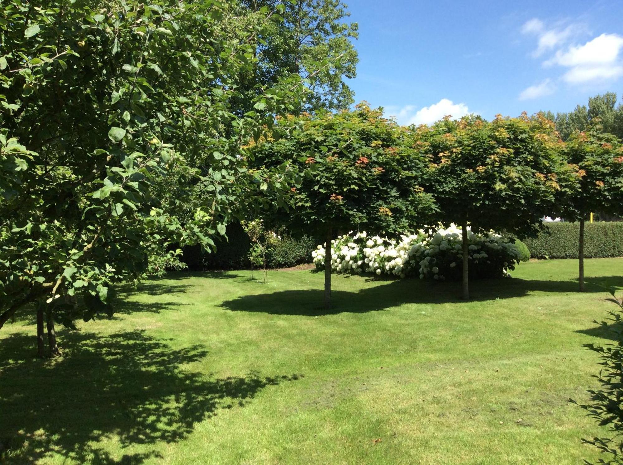 B&B De Tol Hulst Kültér fotó