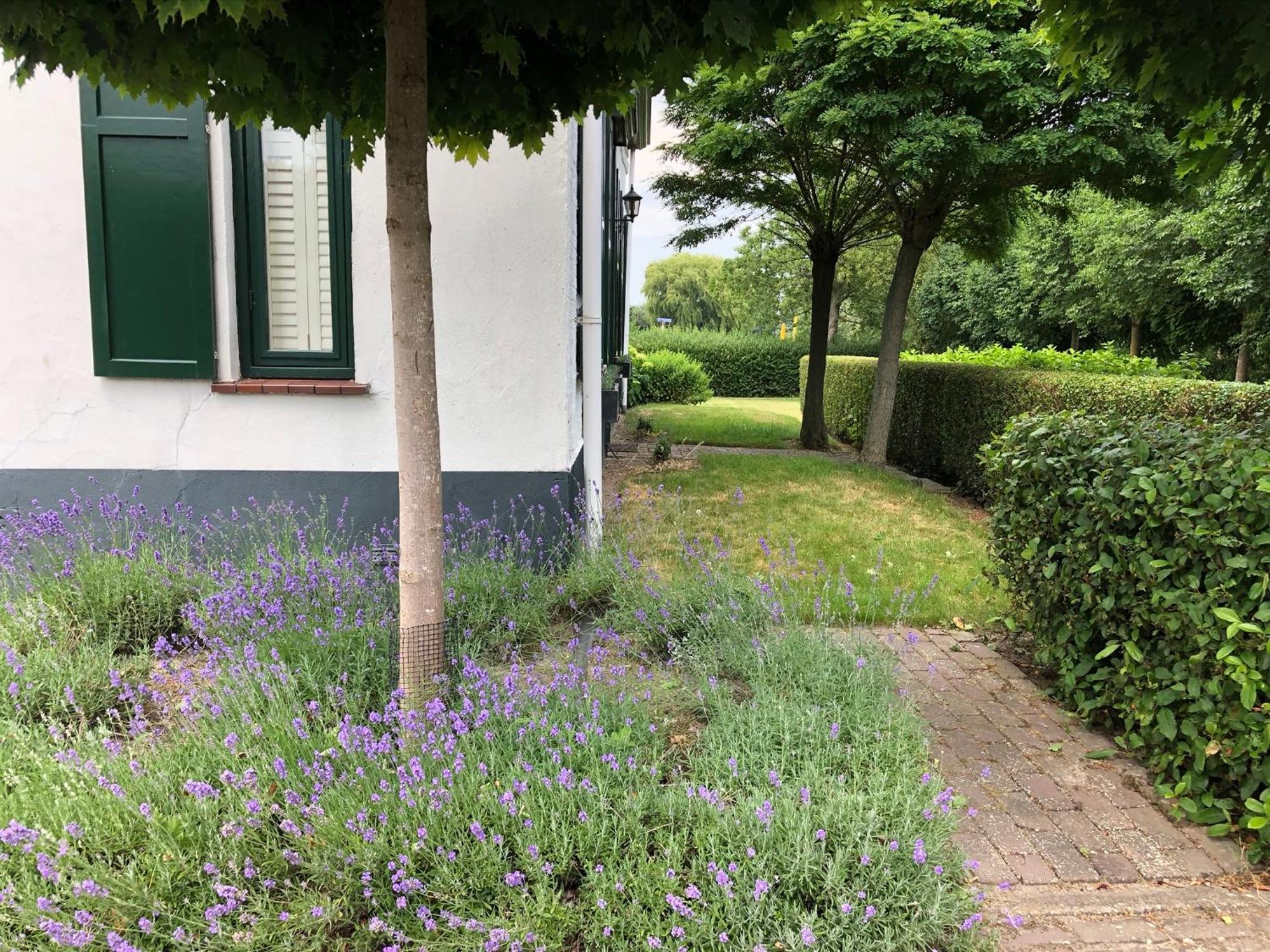 B&B De Tol Hulst Kültér fotó