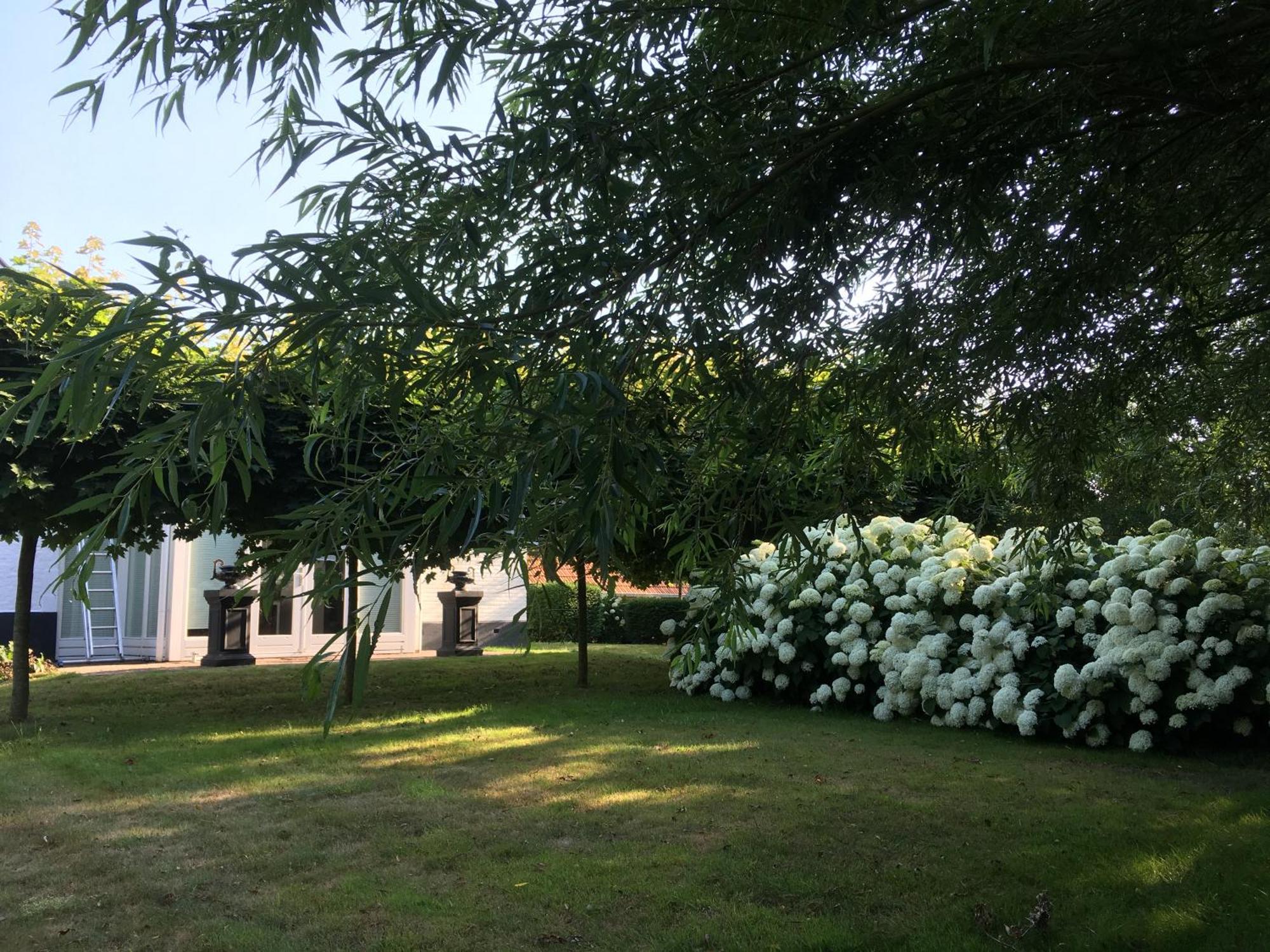 B&B De Tol Hulst Kültér fotó