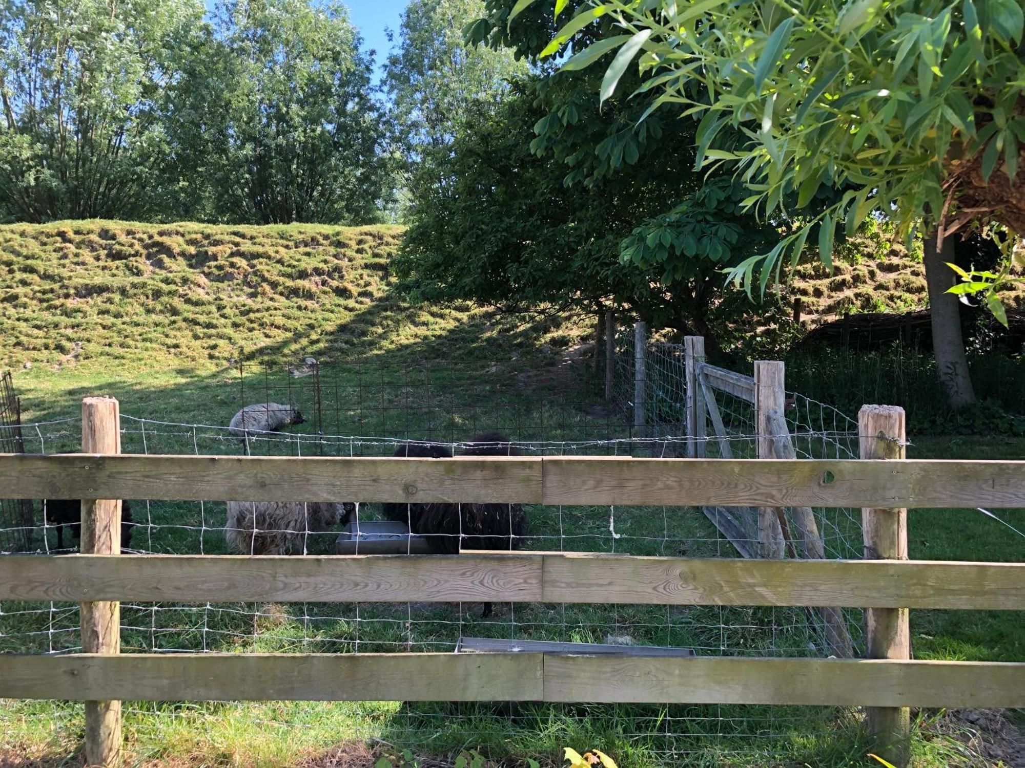 B&B De Tol Hulst Kültér fotó