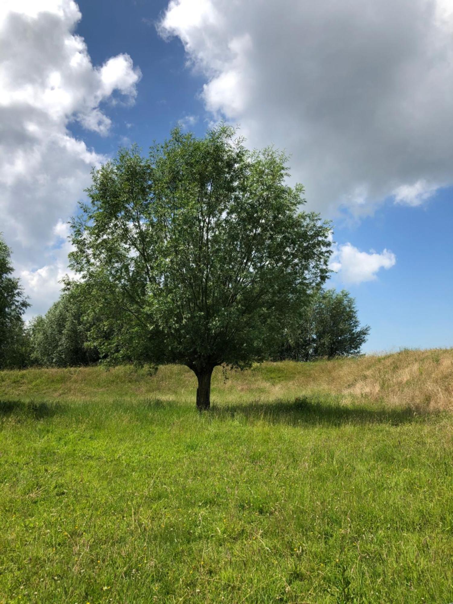 B&B De Tol Hulst Kültér fotó